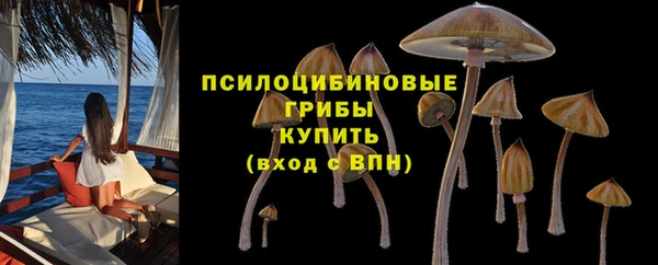твердый Горно-Алтайск
