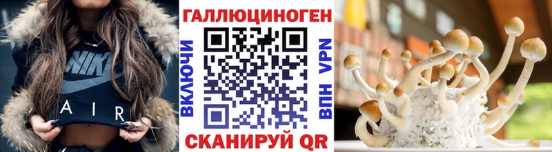 Псилоцибиновые грибы Psilocybine cubensis  Купить  Карабаш 